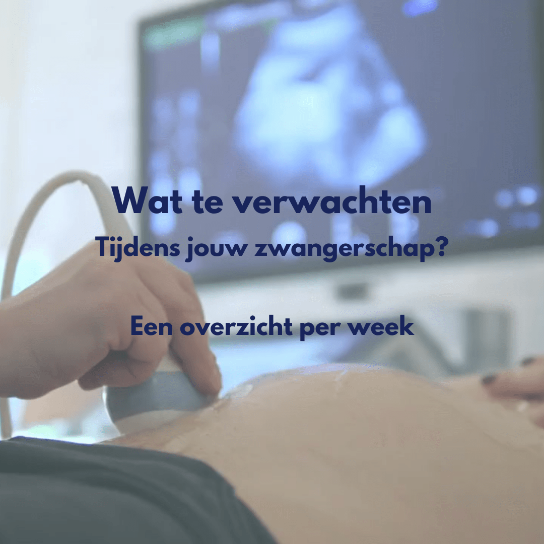 Wat is belangrijk per week in de zwangerschap? Een totaaloverzicht voor nieuwe moeders - BabySales